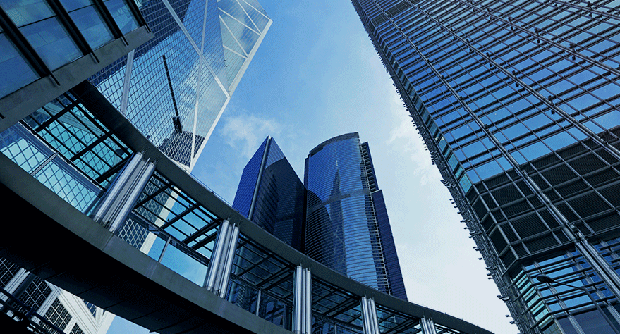 our business background